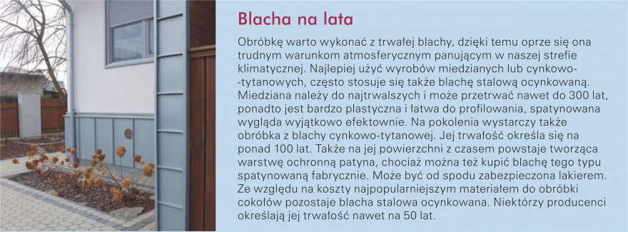 Zdj 3. Blacha na lata